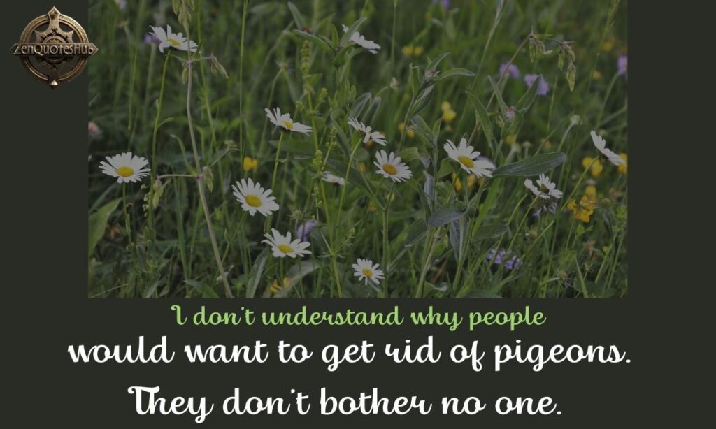 3. I don't understand why people would want to get rid of pigeons. They don't bother no one.