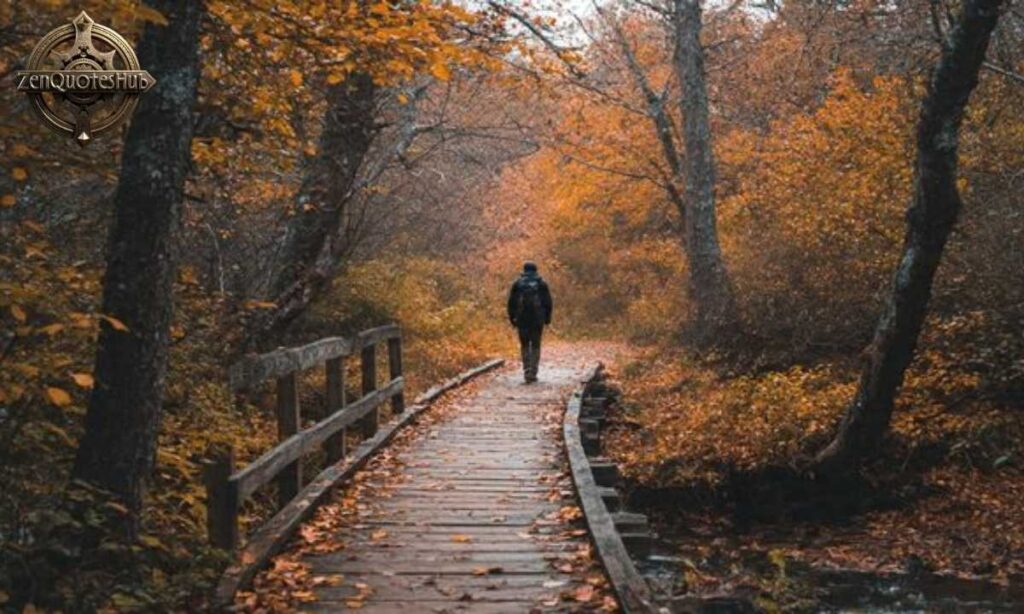 Nature Walking And Trail Exploration Quotes