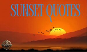 220+ Sunset Quotes – Best Sunset Captions for Instagram